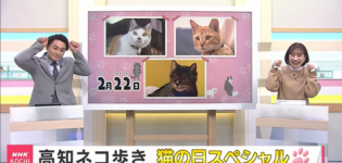 NHK高知 「高知ネコ歩き 猫の日スペシャル」の動画が公開されています