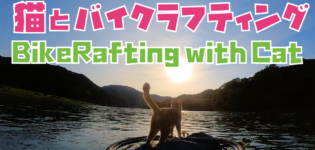 BikeRafting cat CHABI’s new video!