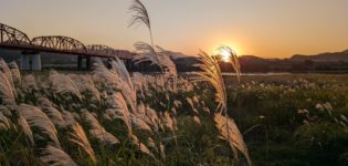 超絶怒涛の大発表！オケラさん、移転します！