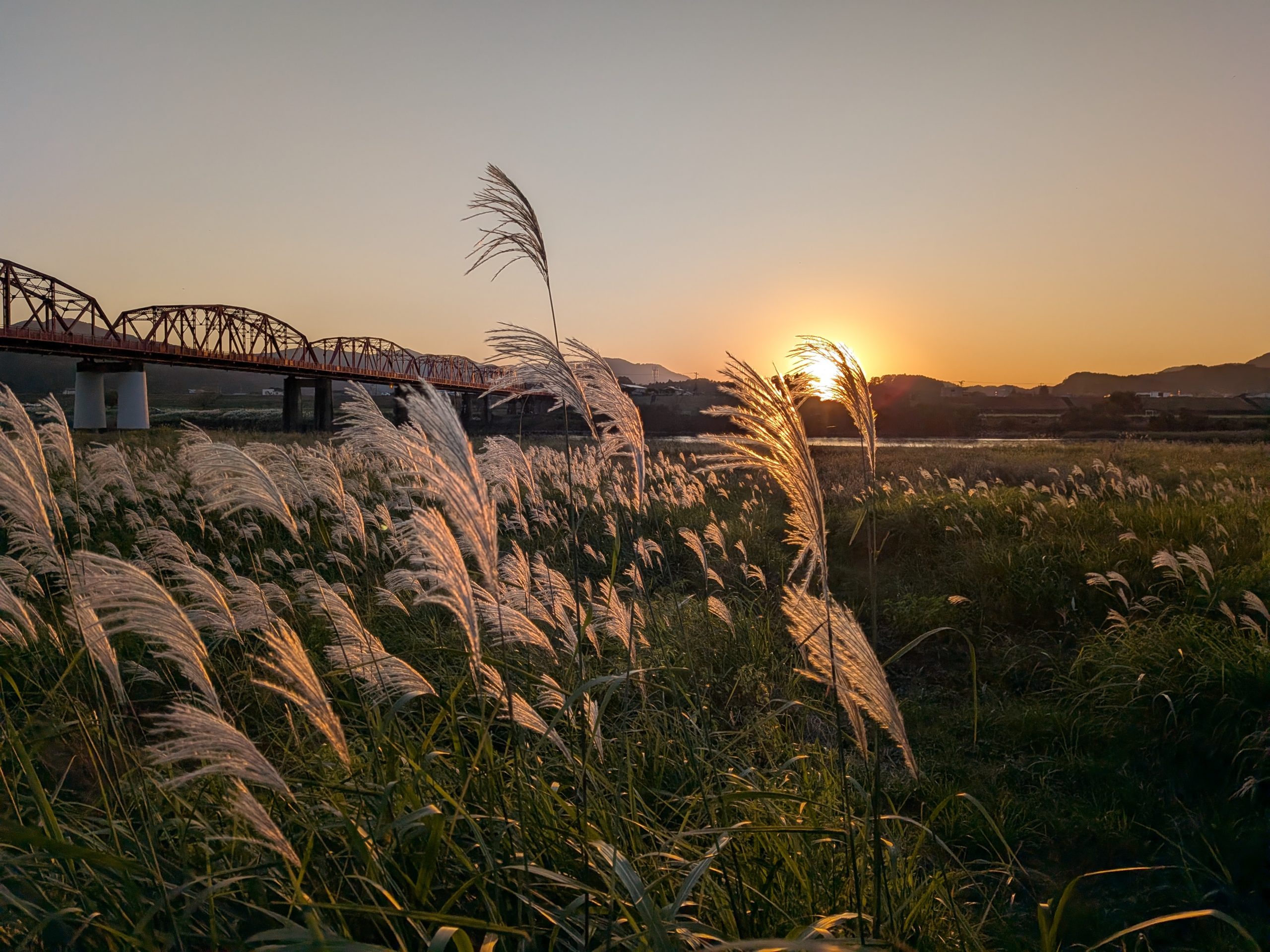 超絶怒涛の大発表！オケラさん、移転します！