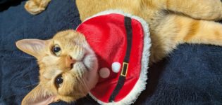 2025年、ありがとうございました。